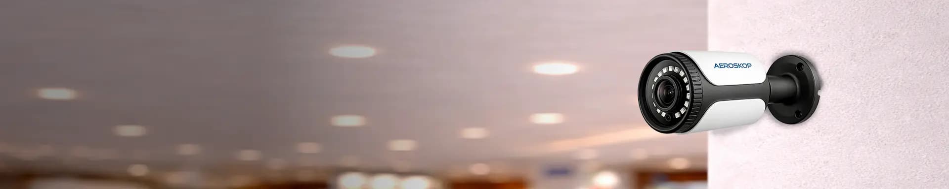 Panoramic Camera Banner